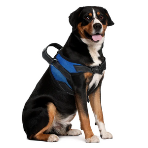 Joa® No-Pull | Dog Harness